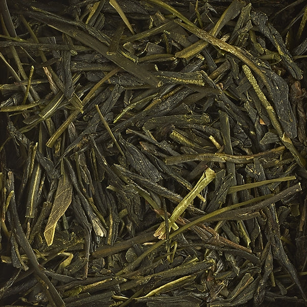 048 - Sencha Asagiri Bio